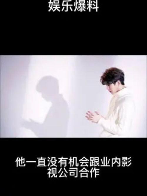 今日爆料明星动态,明星动态揭秘，独家爆料引热议